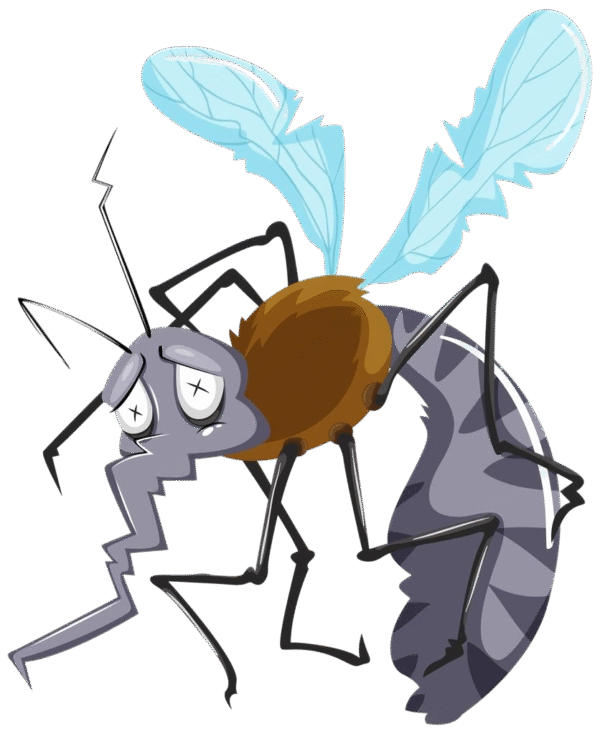 Mosquito volador