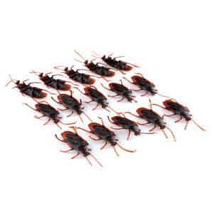 Cucarachas de broma (fake cockroach)